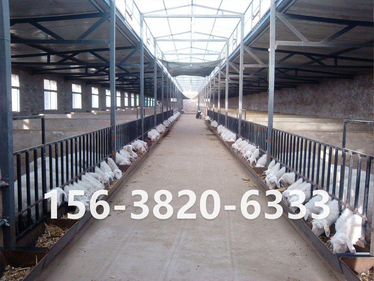 年產(chǎn)2萬噸有機肥設(shè)備配置